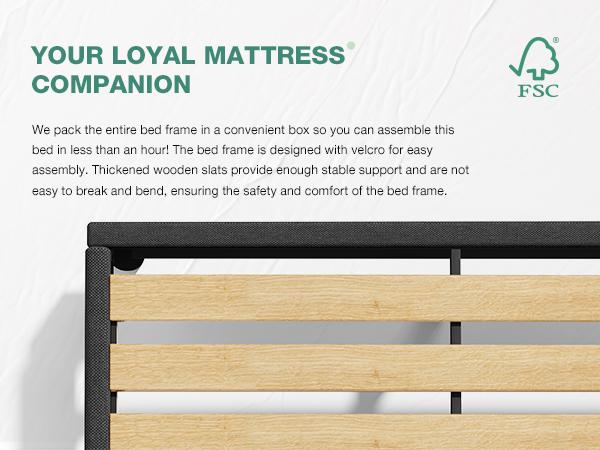 Novilla  Bed Frame Upholstered Platform Full/Queen/King Bed Frame with Adjustable Headboard, Strong Weight Capacity, No Box Spring Needed, Easy Assembly, Grey, Holiday Haul