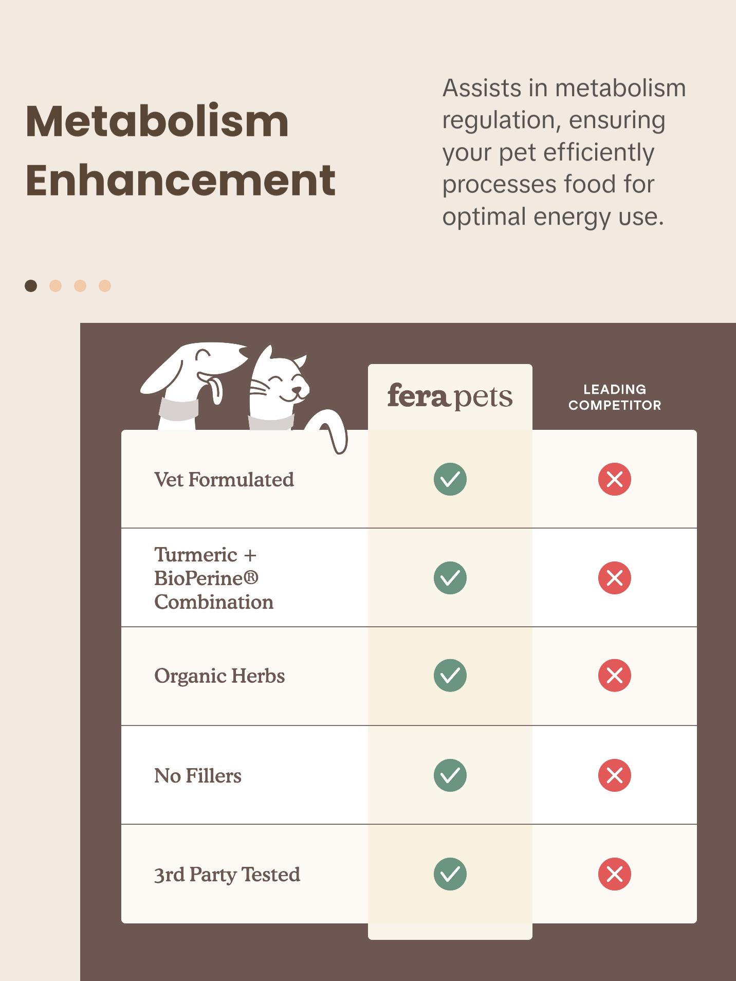 Liver Support for Dogs and Cats