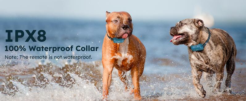 Jugbow Dog Training Collar - 4200FT Dog Training Behavior Aid, IPX8 Waterproof Electric Collar with 4 Training Modes, Security Lock, Rechargeable Collars for Large-DT68 Outdoor