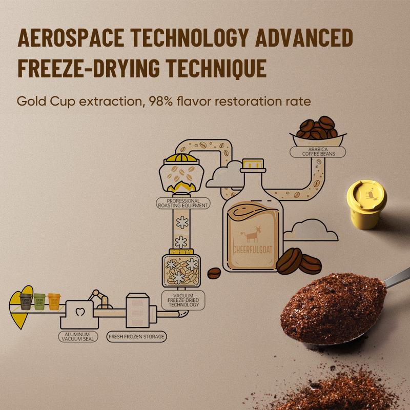 Single Pack CHEERFULGOAT Freeze-Dried Instant Cold Brew Coffee 100% Arabica Beans High Caffeine Sugar & Fat Free Pocket Size for Gym Travel Iced Latte or Black Coffee Gift Beverage - Organic Premium Espresso