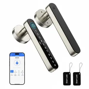 Valentine's Day Gift EUERTE 5 in 1 Keyless Entry Door Lock for Bedroom,Smart Fingerprint Door Handle with Code,Thumbprint Smart Doorknobs Lock Keypad for Interior Room,Apartment,Office,Storage Room,Motel(Silver,Black)