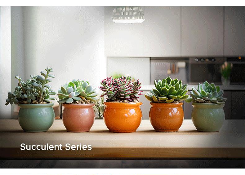 Sansi 40W Full Spectrum Grow Light， with Optical Lens and High PPF，with 5-Level Dimmable, Auto On Off 4 8 12 Hrs Timer for Seeding and Growing energy efficient