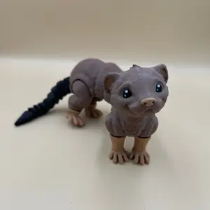 Ferret