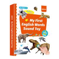 Orange Only English Sound Book