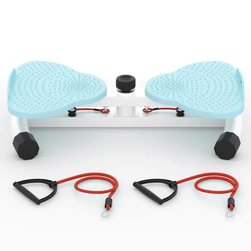 Waist Twister Core Trainer - 300 lbs Anti Slip Noiseless Twist Board Platform for Home Gym Daily Fitness