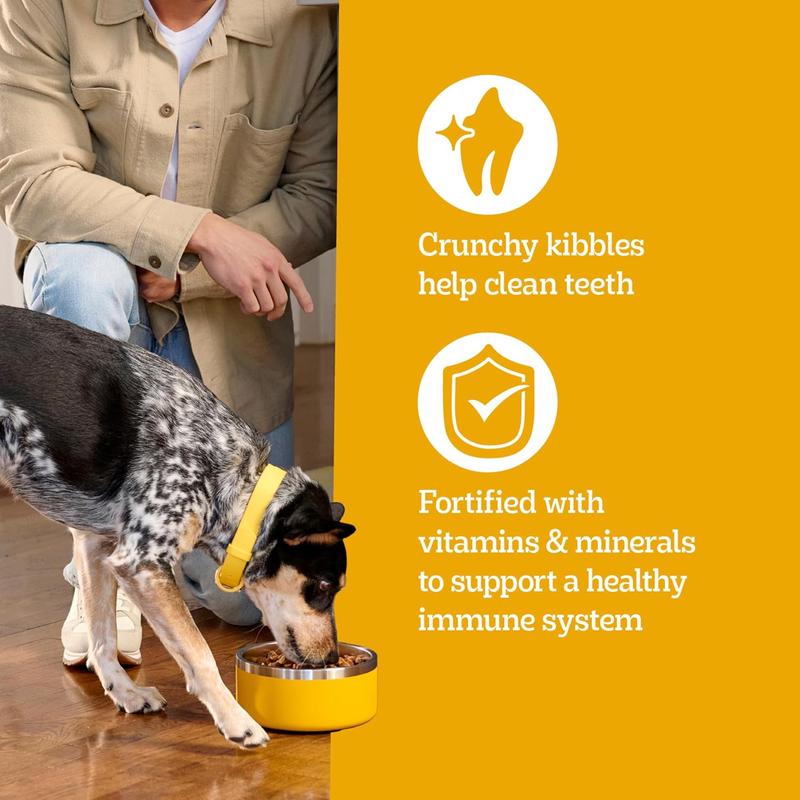 Pedigree Adult Dry Dog Food, Complete Nutrition, Roasted Steak & Vegetable/ Chicken & Vegetable Flavor, 18 lb. Bag