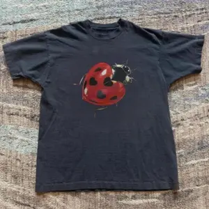 Ladybug Heart Graphic Unisex Baby Tee