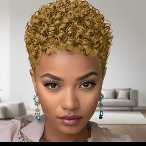 Short Afro Kinky Curly Wigs Human Hair Wig Pixie Cut Full Machine Made Wig For Women with Rose Net & Elastic Band