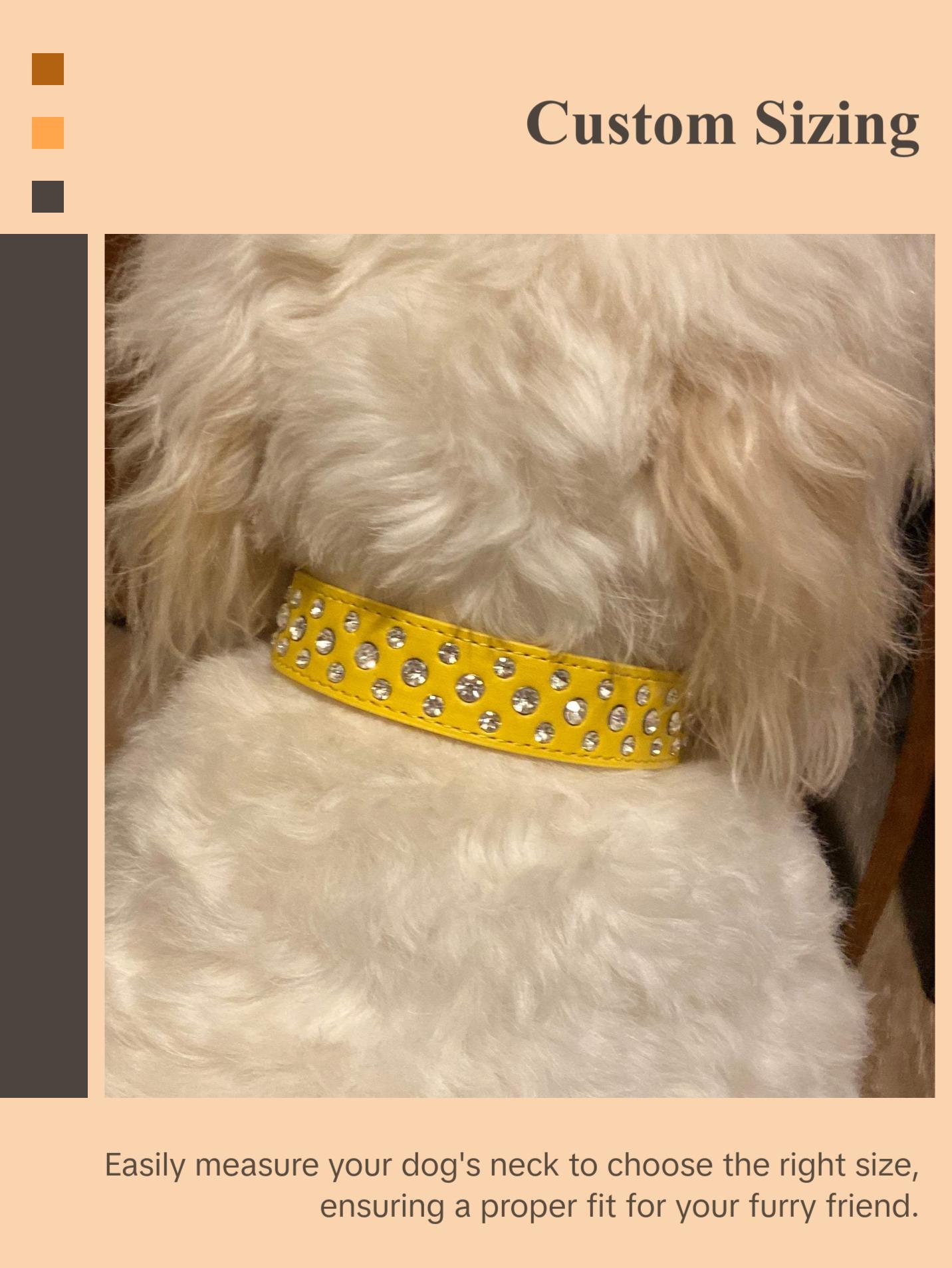 Yellow Bling Dog Collar