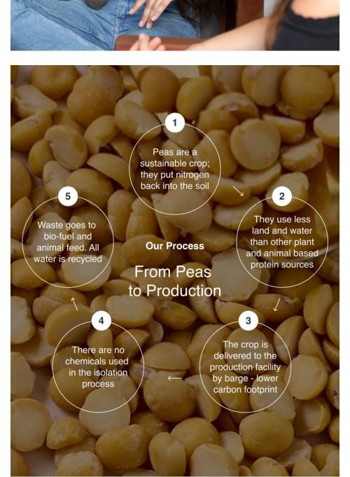 Nuzest - Clean Lean Protein - Premium Vegan Plant Based -Dairy Free -Gluten Free -GMO Free - Pea Protein