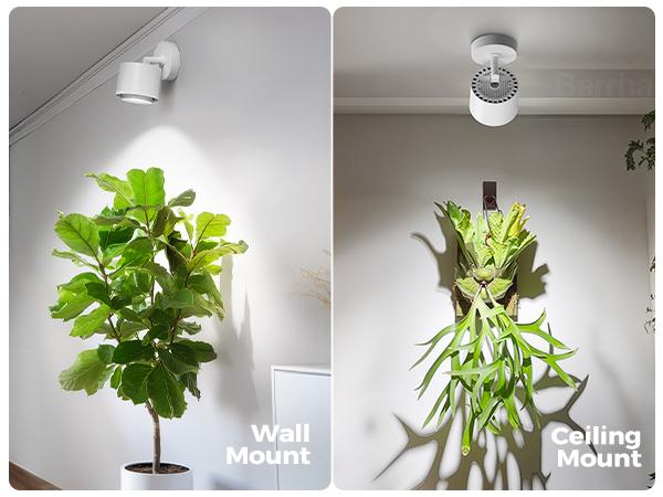 Barrina TR40a Track Grow Light for Indoor Plants, 40W Hanging Grow Lights with Adjustable Beam Angle (15°-60°), 5000K Full Spectrum Wall-Mounted Plant Light with Timer for Growing Houseplants,1-Pack Barrina TR40a Track Grow Light for Indoor Plants, 40W Hanging Grow Lights with Adjustable Beam Angle (15°-60°), 5000K Full Spectrum Wall-Mounted Plant Light with Timer for Growing Houseplants,1-Pack