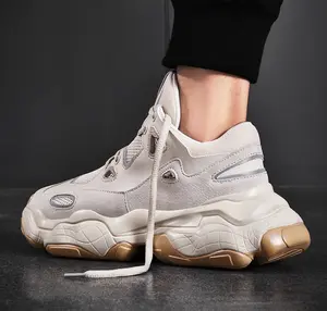 Dad Shoes, Mesh Sports Shoes, Height Increasing Sneakers