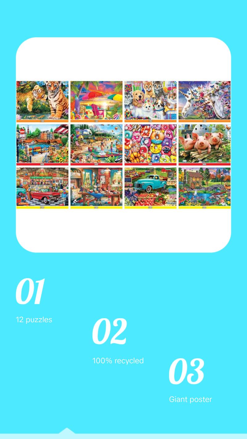 Artist Gallery Jigsaw Puzzle Collection Series 2 - 12 Pack