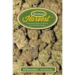 Marijuana Harvest: How to Maximize Quality and Yield in Your Cannabis Garden -- Ed Rosenthal, Paperback