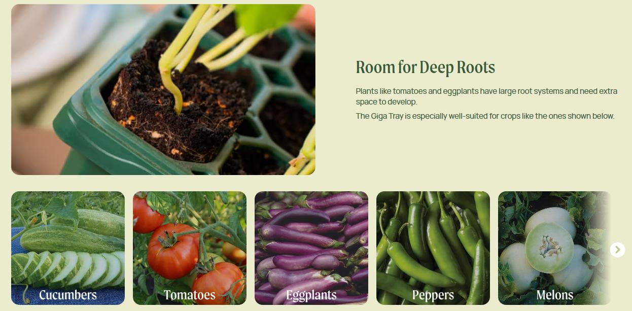 Vego garden Giga Seedling Trays 9-Cell UV-Resistant Reusable Starter Trays for Greenhouse/Garden (No Lids)