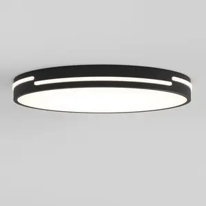 Delray 15.7 in. LED modern flush mount light 5 CCT