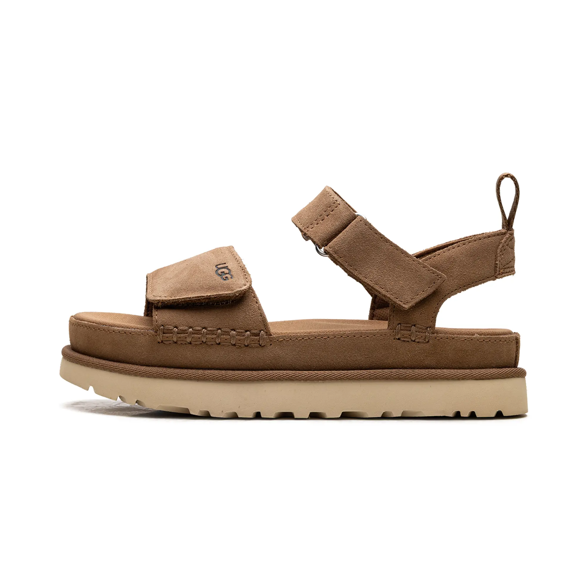 Goldenstar "CHESTNUT" 1136783