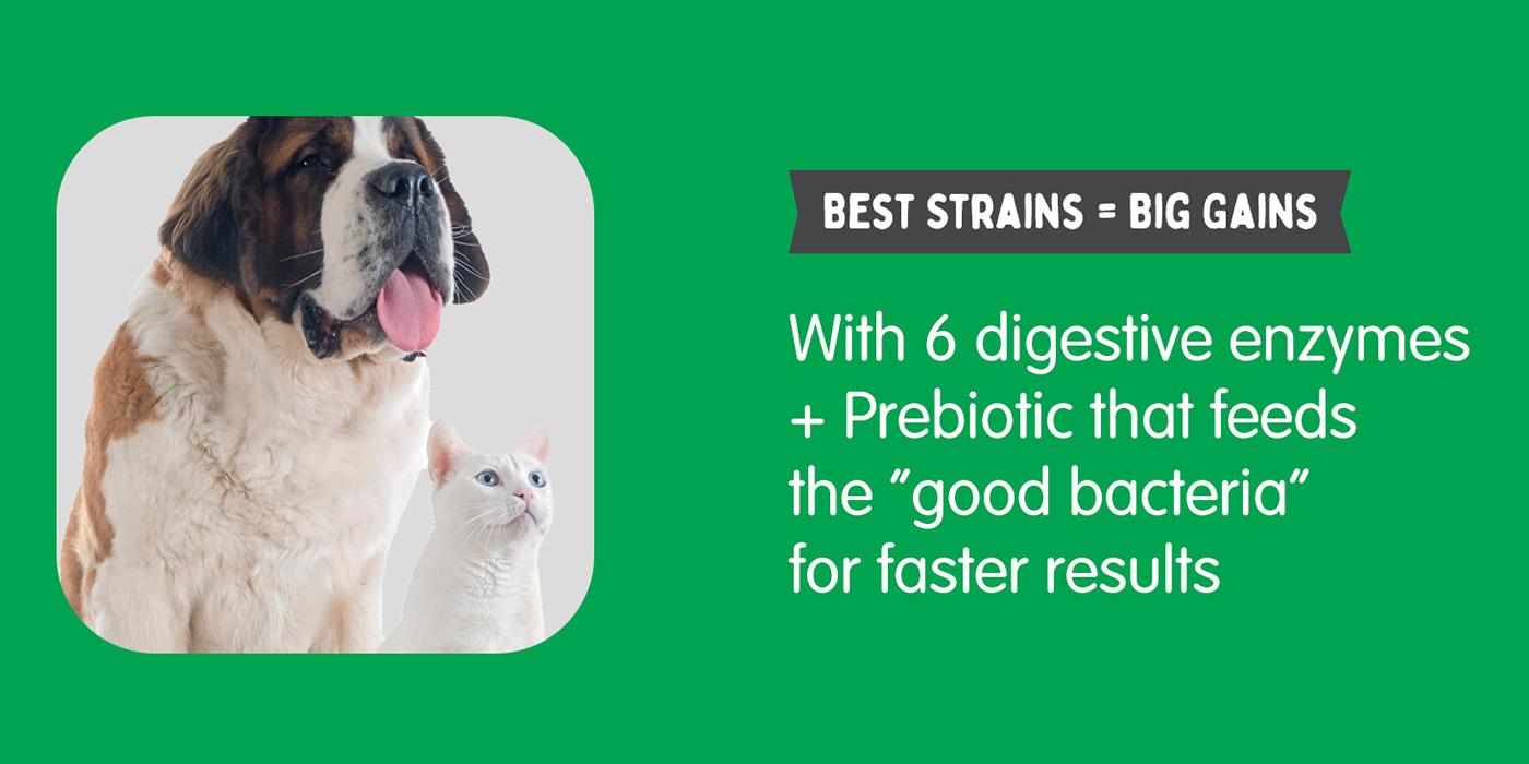 90 capsules Allergy Immunity for Dogs Daily Probiotics. Support Yeast Production Seasonal Allergies Intermittent Itching Intestinal Digestive Health Medium Dogs-BY