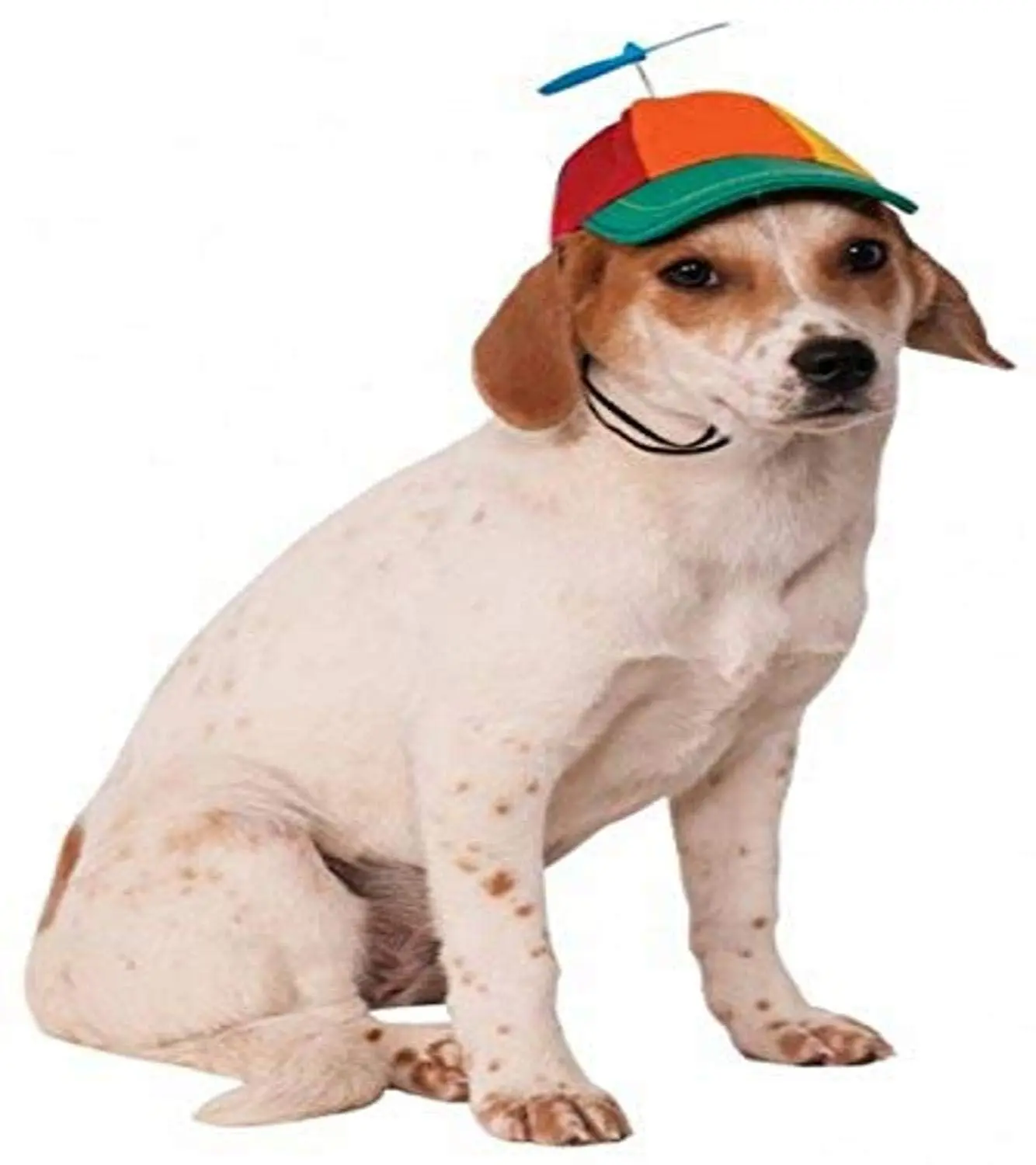 Pets Propeller Hat Costume Accessory