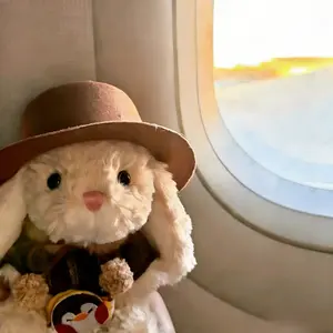 background preload poster image 