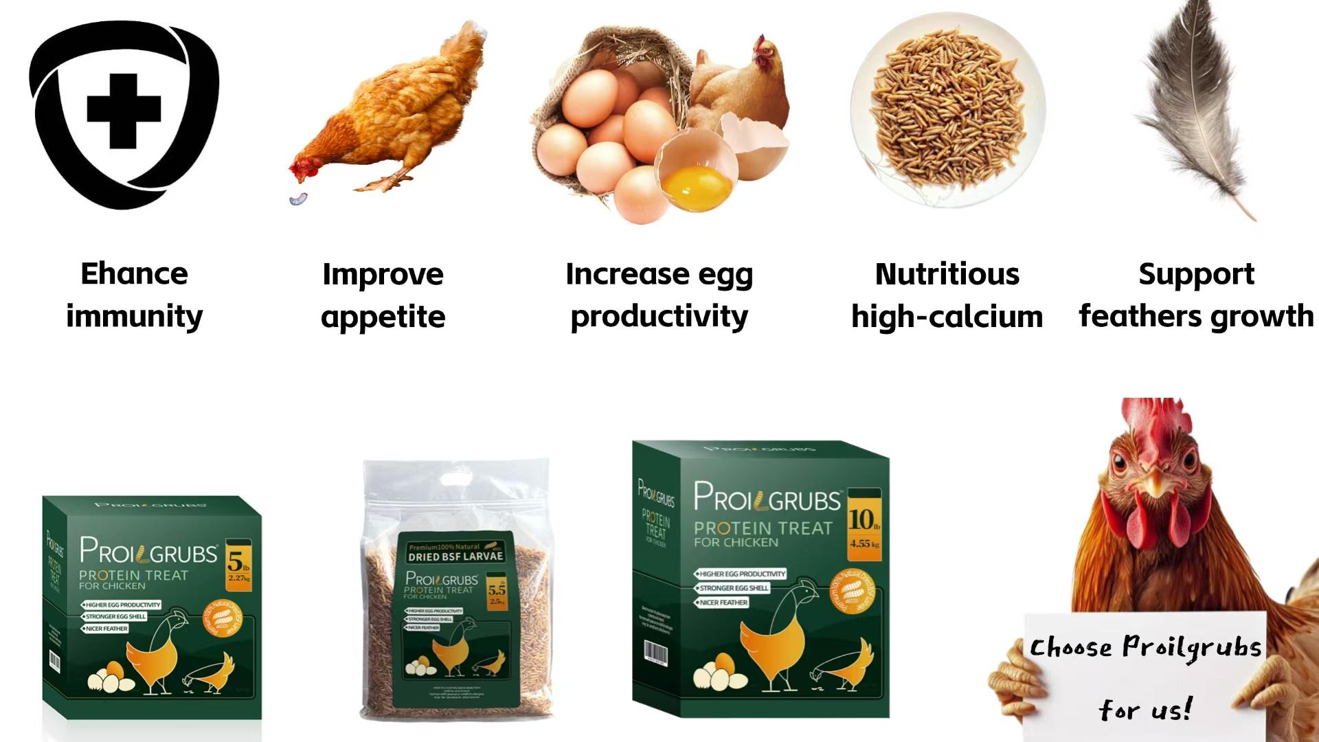 PROILGRUBS 10 LBS Non-GMO Dried Worms for Chickens High Protein Treats 4.55 kg All-Natural Black Soldier Fly Larvae for Higher Egg Productivity & Stronger Egg Shells Enhance Sustainable Organic Snack Nicer Feather   High Protein Black Soldier Fly Larvae