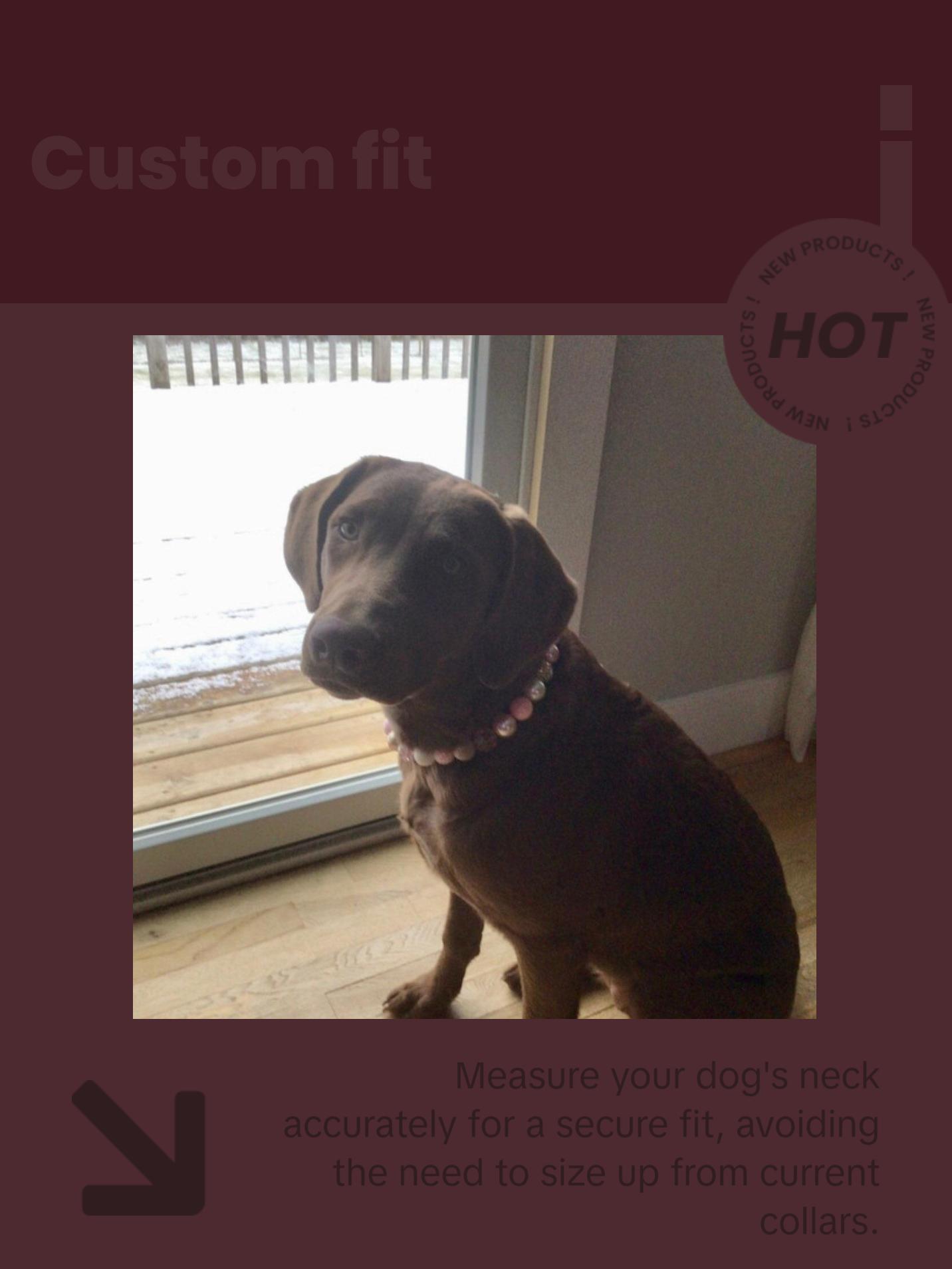 Champagne Cupcakes Beaded Dog Collar | Durable Pearl Dog Necklace | Custom Jewelry for Dogs | Wedding Dog Pearls | Bead Collar