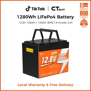 [Summerwins]CTOLITY CT100-12 12.8V 100Ah 1280Wh LiFePO4 Battery Built-in 100AH BMS A Grade Cells for Phone Max 1280W 4000+ Cycle Solar Generater RV Smartphone