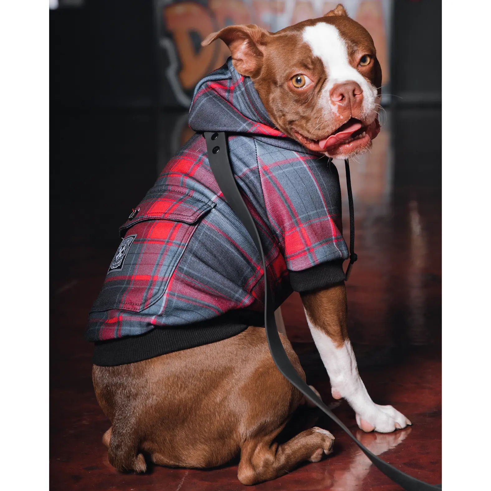 Dog Hoodie - Royal Flush