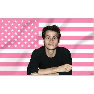 Dylan O'Brien Decorative Flag Outdoor Indoor, Double Stitched, Wall Hanging Room Decor Tapestry, College Dorm Porch Outside Decorations