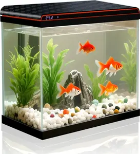 5 Gallon Fish Tank, Glass Aquarium Starter Kits, Self-Cleaning Water Pump & 3-Color Light with Water Temperature Detection for Betta Shrimp Guppy Jellyfish Goldfish Beta, Gift for Room Decor Kid