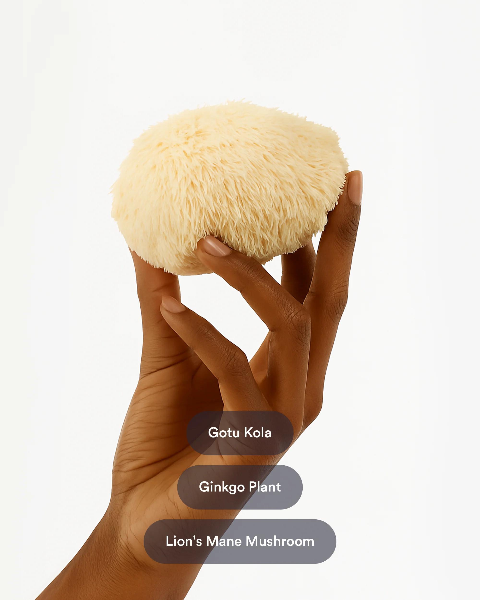 Kind Patches, Brainpower Patches, 30 Brain Support Patches: Mental Focus, Guta Kola and Ginkgo Extracts, Vegan Kind Patches, Brainpower Patches, 30 Brain Support Patches: Mental Focus, Guta Kola and Ginkgo Extracts, Vegan