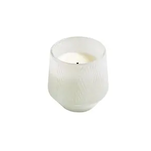 Balsam Fir & Cedar candle in white decorative glass 5oz.