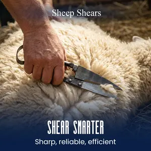 Single Bow Economy Sheep Shears (DRTHCI6)