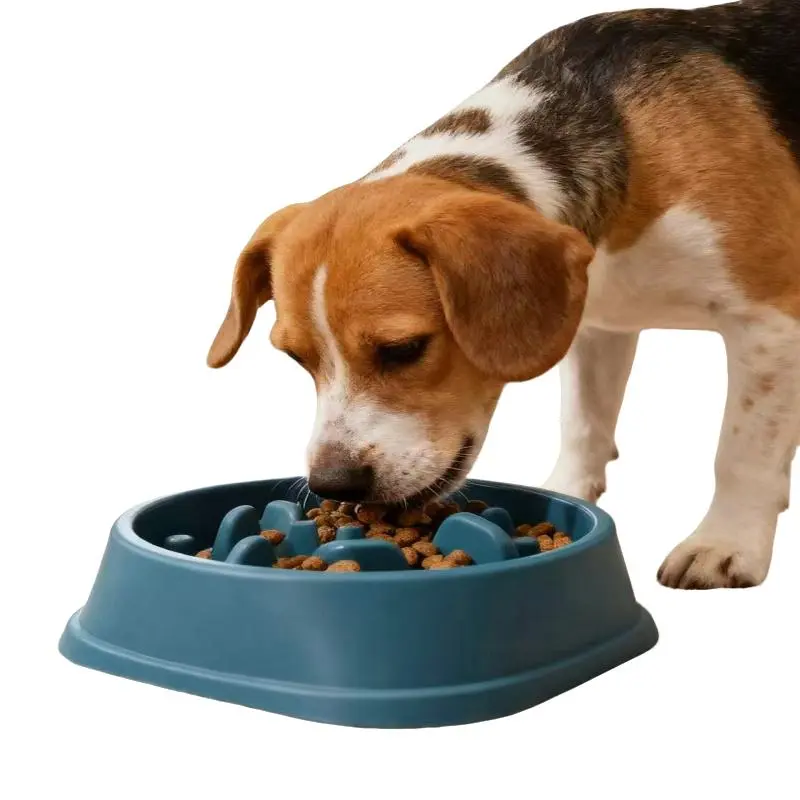 Slow Feeder Dog Bowl | Anti-Gulping Pet Puzzle Bowl for Fast Eaters | Prevent Bloat, Choking & Vomiting | Non-Slip BPA-Free Dog Dish Bowl Slow Feeder Bowls