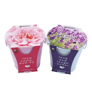 Flower Pail Duo Grow Kit | Grow Mini Rose & Lavender