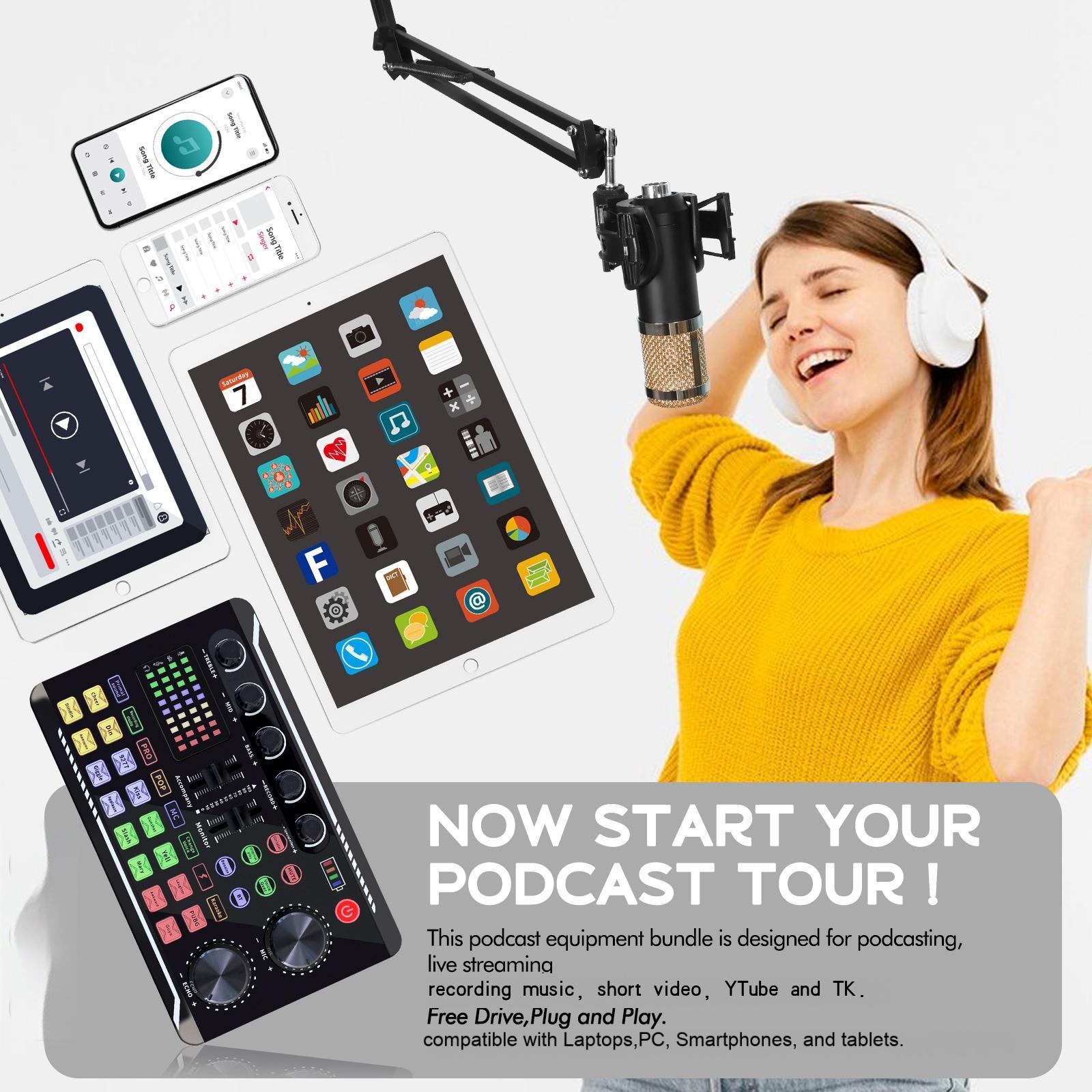 BM800 Professional Recording Studio Microphone Bundle with Audio Mixer & Voice Effects Metal Condenser Microphone Kit for Podcasting Streaming Singing on PC Mac Mobile TikTok YouTube Gaming