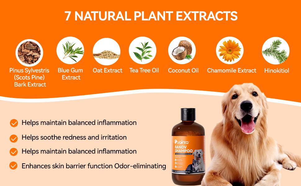 Itch-Relieving Shampoo-PUAINTA 8oz Banov Pets Shampoo for Dogs & Cats | Plant-Added Formula Addresses Itching & Ringworm Contains Chamomile Rosemary & Coconut Oil，Deep Clean Anti-Odour, Enhances Coat Shine, Easy Rinse