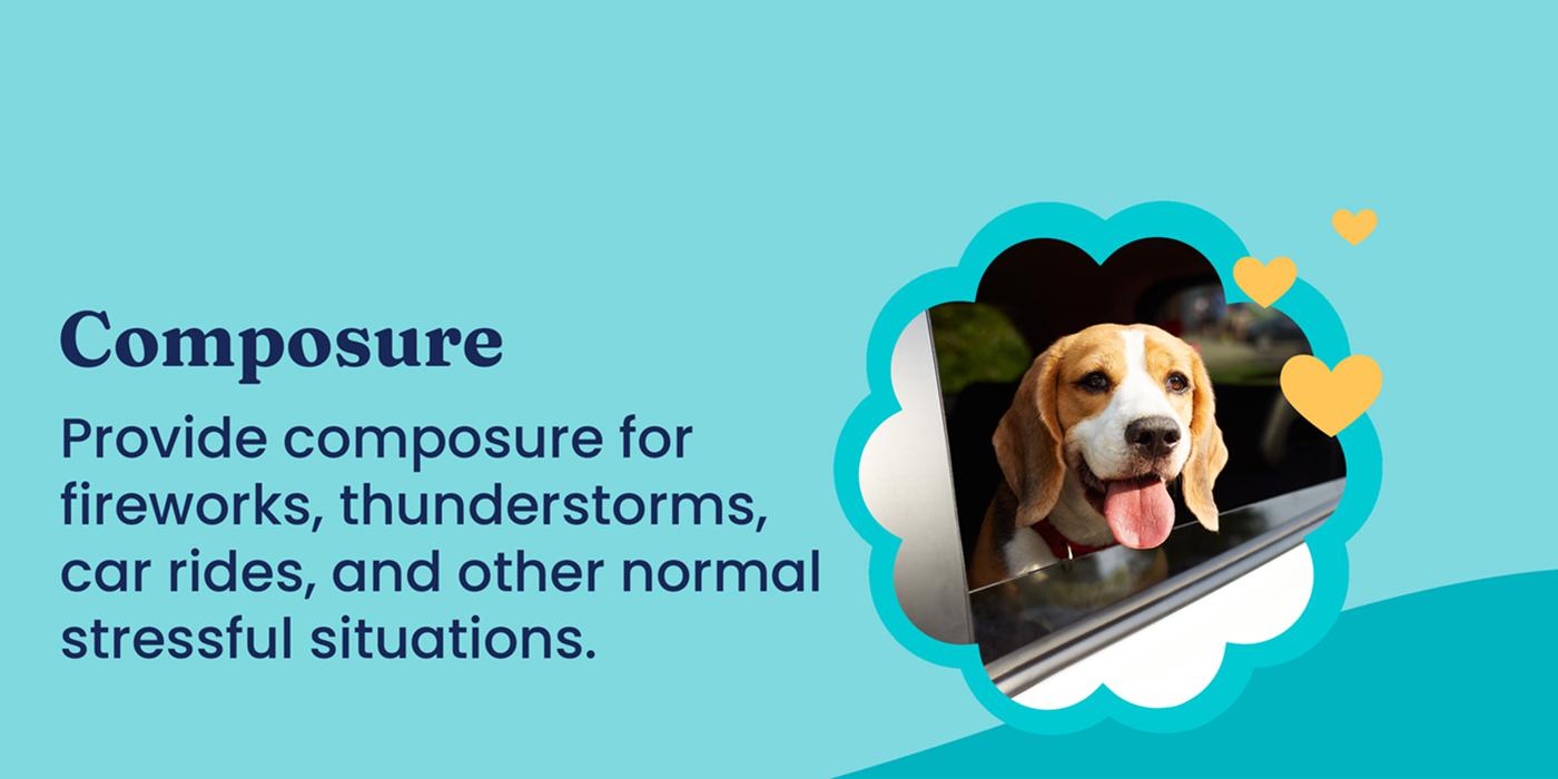 Dog Pet Chews for All Breeds - Multivitamin, Calming - Chicken & Meat Flavors, Skin & Coat Support, Training Treats 90 Capsules-5.99