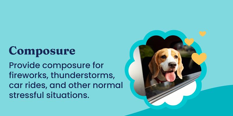 Dog Pet Chews for All Breeds - Multivitamin, Calming - Chicken & Meat Flavors, Skin & Coat Support, Training Treats 90 Capsules-5.99