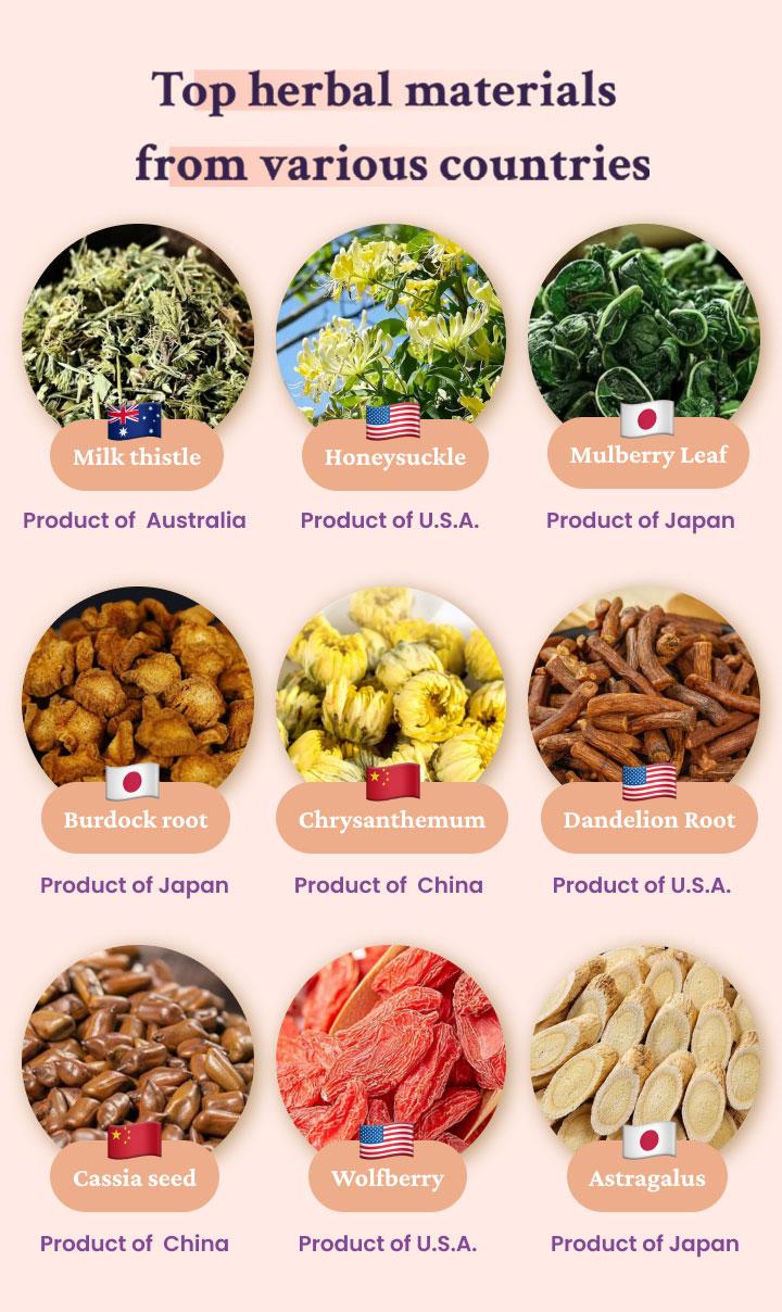 Liver and Kidney Detox Cleanse Tea - Milk Thistle GojiBerry Dandelion root Honeysuckle, Hand-picked 9 Organic Herbs, Edible corn fiber tea bags,  Beverage Natural