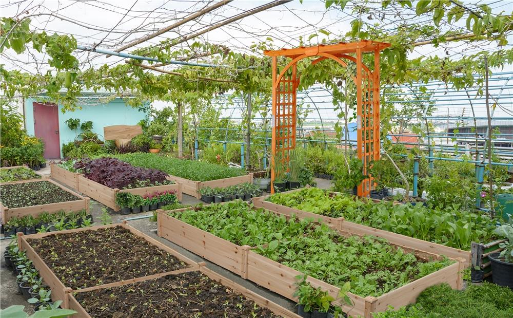 Yaheetech 85in Wooden Garden Trellis Horticulture Garden Arch Arbor for Climbing Planting Plant Stand in Garden Yard Outdoor, Brown