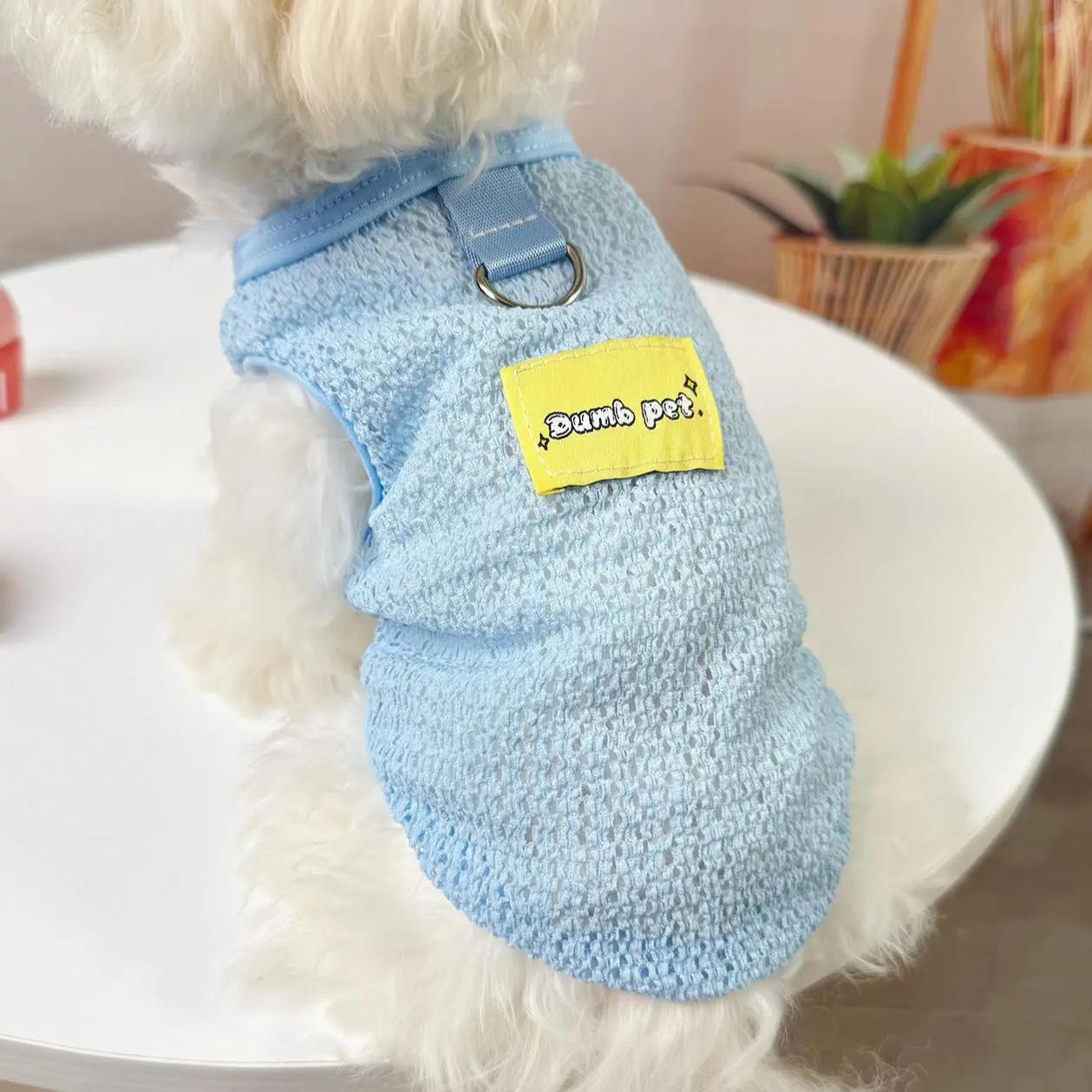 Pet Clothes Dog Cat Vest  Breathable Summer Cool Cute Style With Leash Ring D00059
