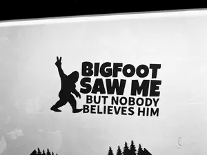 Car Funny Bigfoot Saw Me Vinyl Decal 6 x 4 Inches Waterproof Adhesive Viral TikTok Car Decal for Windows Bumpers and More