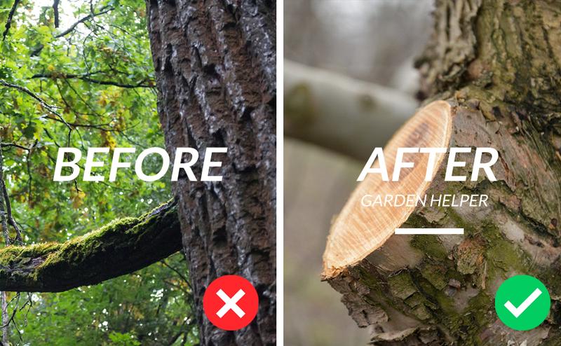 Walensee Pole Saws, Tree Trimming Lightweight Manual Stainless Steel Extension High Pole Pruning Pole Saw for Trimmer Branches Pole Cutter Pole Pruner at Forestry Yard Garden Patio