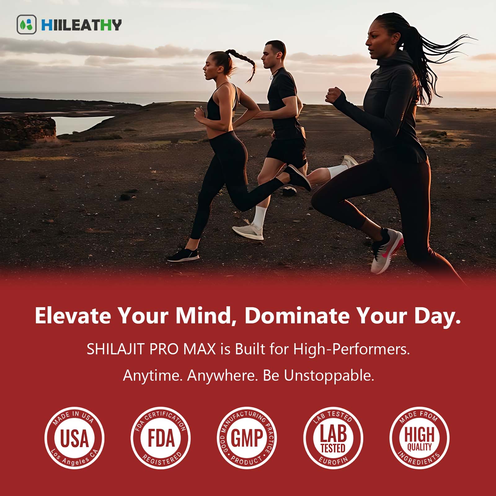 HIILEATHY Optimal Shilajit PRO MAX with K2 & D3 60 Capsules Made in USA with Essential Minerals for Healthy Aging and Immune System Support - Edible HIILEATHY Optimal Shilajit PRO MAX with K2 & D3 60 Capsules Made in USA with Essential Minerals for Healthy Aging and Immune System Support - Edible