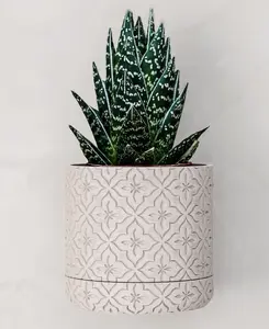 Modern Wall Mounted Planter with Drip Tray – Minimalist Indoor Plant Pot