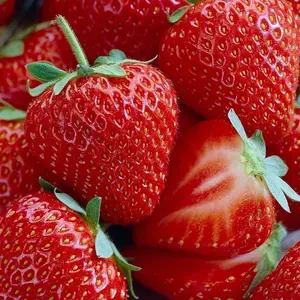 1000 Strawberry Seeds for Planting, Garden Berry Seeds for Outdoor Beds and Containers, Seeds Only, Not Live Plants