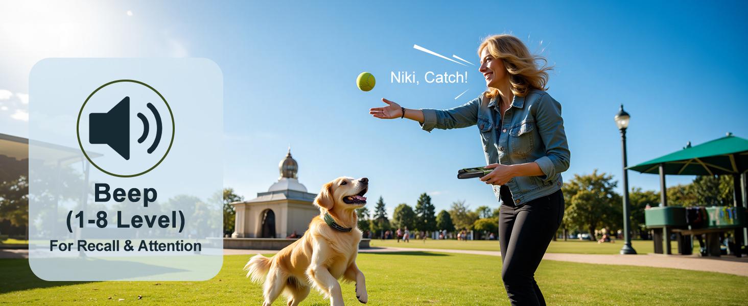 JUGBOW Dog Training Collar 4500FT Dog Training Behavior Aid, Remote IPX8 Waterproof with 4 Training Modes, Outdoor Rechargeable E-Collar DT61