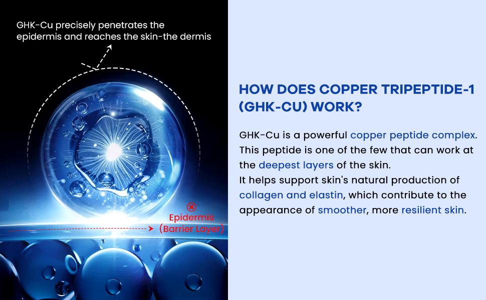 2 bottles）GHK-Cu Copper Peptides Serum for Face: Advanced Anti-Aging Serum  with Multi-Peptide and Niacinamide for Fine Lines and Skin Elasticity with  Hyaluronic Acid
