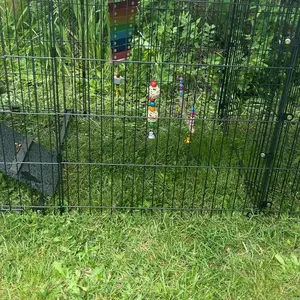 Random Color Chicken Swing & Feeder Net, 10pcs/set Outdoor Chicken Swing & Feeder Net Bird Grinding Teeth Toy, Farm Animal & Poultry Supplies